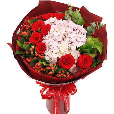 芳菲之恋